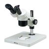 立体显微镜 