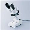 双眼实质显微镜