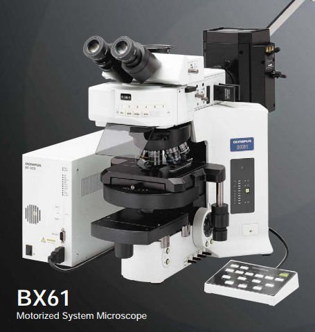 Olympus显微镜BX61